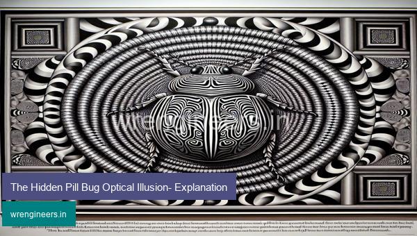 The Hidden Pill Bug Optical Illusion- Explanation
