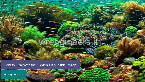 How to Discover the Hidden Fish in this Image